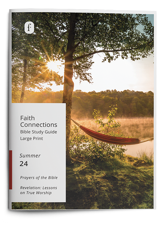 Adult Bible Study Guide, Large Print